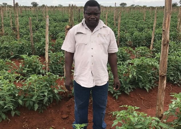 Phriri Farm in Limpopo